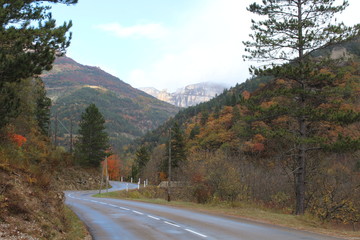 MASSIF DU VERCORS - PARC NATUREL DU VERCORS - DROME - ISERE - RHONE ALPES - FRANCE