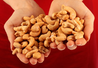 HANDFUL OF ROASTED CASHEW NUTS