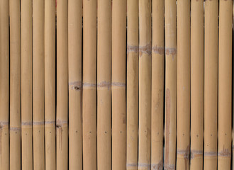 Fototapeta premium Bamboo Wooden wall panel texture for background, vintage texture style