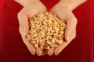 HANDFUL OF PINE NUTS KERNELS
