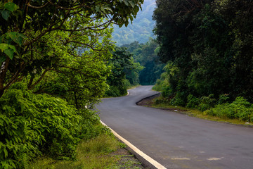 Tamhini Ghat Road, Maharashtra, India