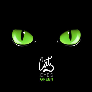 Black cat's green eyes vector illustration