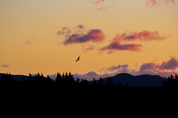 mountain landscape during sunrise near Methven in Canterbury, South Island, New Zealand