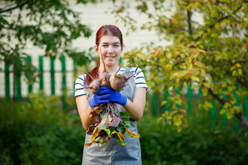 Photo of smiling girl with beetroot in garden