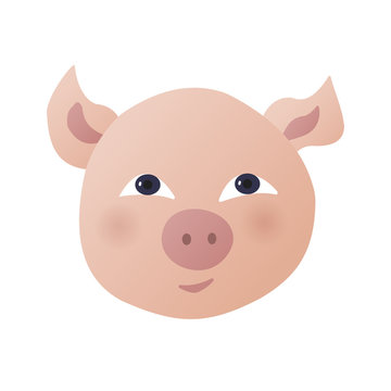 Head of pig, face of farm animal. Symbol of chinese new year 2019. Icon of piggy. Hand drawn vector Illustration