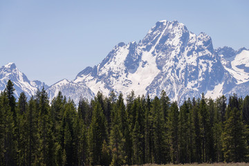 pine trees snow covered mountain range 