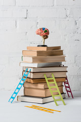 brain model on pile of books and small colorful step ladders © LIGHTFIELD STUDIOS
