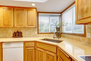 Open kitchen interior with dark wood cebinets and wood floor