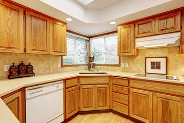 Open kitchen interior with dark wood cebinets and wood floor