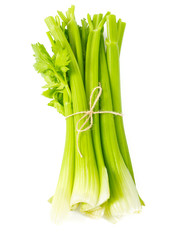 celery isolated on white