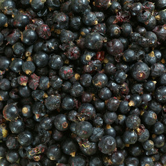 Dried berry top view