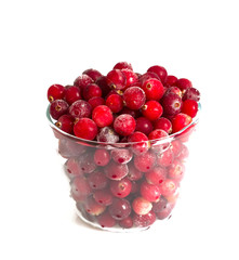 frozen cranberries isolated