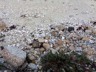 piedras en la playa