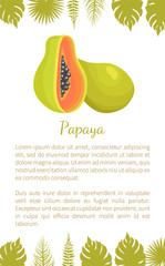 Papaya Exotic Fruit Vector Poster Text Palm Leaves