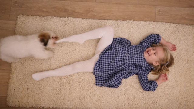 Funny child girl daughter lie on a floor rug while playful small pet dog bites her tights top view