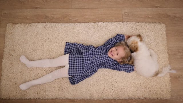 Funny child girl daughter lie on a floor rug while playful small pet dog bites her hair top view