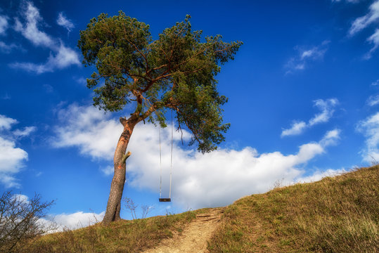 Fototapeta Swing on the tree