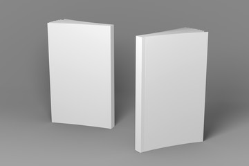 Two standing books. Presentation of front cover, spine and back cover. 3D illustration of mock-up template.