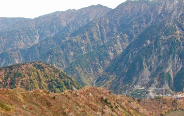 Natural landscape view of the autumn red-orange-green color forest on the mountain