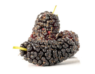 Mulberry is healthy fruit for make juice put on white background