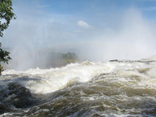 Afrika Tiere Natur