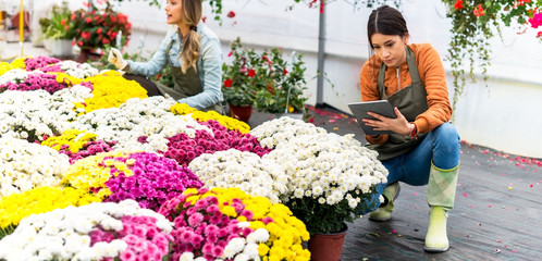 Checking the state of flowers