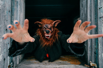 Unknown person with creepy horrible werewolf mask looking out from old wooden ghost house window....