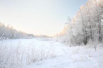 Obraz na płótnie Canvas Winter landscape with newly fallen snow