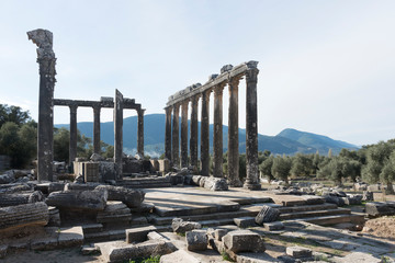 Euromos ruins, located just off the Soke-Milas road, are frequently overlooked by travelers who do...