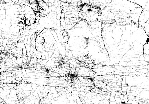 Grunge Crack Texture