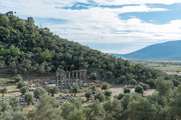 Fototapeta na wymiar Euromos ruins, located just off the Soke-Milas road, are frequently overlooked by travelers who do not realize that an olive grove hides one of the best preserved ancient temples.