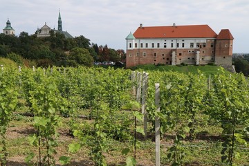  Sandomierz, vineyard, Poland, Royal Castle, tower, architecture, medieval, old, fortress, history, building, stone, fort, ancient, wall, landmark, landscape, fortification, 
