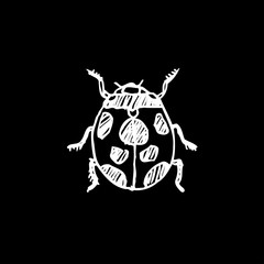 곤충 일러스트 / 손으로 그린 곤충 스케치