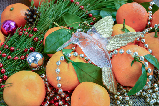 Transparent hummingbird "Christmas bird" next to juicy orange tangerines with green leaves, surrounded by beads to decorate Christmas