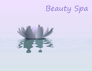 Beauty spa