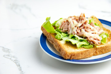 Healthy food,Sliced bread with tuna and vegetable salad for breakfast on table with copy space for your text.