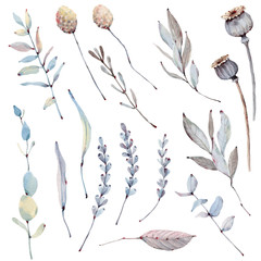 watercolor winter foliage  collection