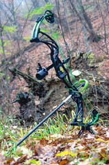 compound bow in the autumn forest and hunting