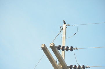 high electrical pole tower line