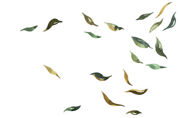 Watercolor falling leaves isolated on white background. Hand drawn illustration. 