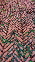 Ancient Wall paper form Brick Ayutthaya