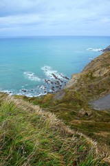 the cliff and ocean in the coast 