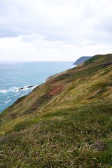 the cliff and ocean in the coast 