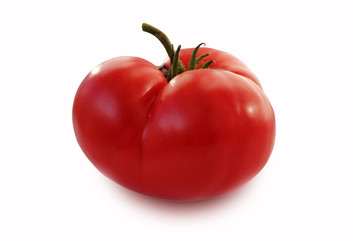 ripe red tomato with leaves. Isolation, white background under clipping path