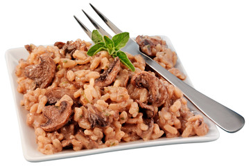 MUSHROOM RISOTTO CUT OUT