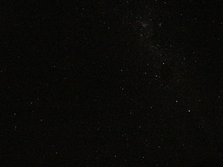 Wildtiere Afrika Natur