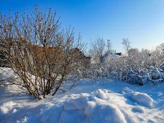 A winter clear day, a rural landscape with a rustic garden covered with snow. frozen branches of trees. in the background are seen small houses.
