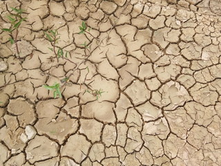 Full frame shot of dry cracked dirt ground, high angle view.
