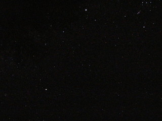 Wildtiere Afrika Natur