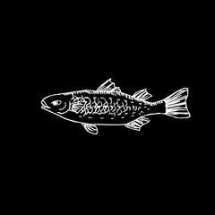 해산물 일러스트 / 손으로 그린 수산물 그림